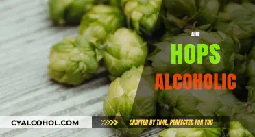 Are Hops Alcoholic? Unraveling the Truth Behind Beer's Key Ingredient
