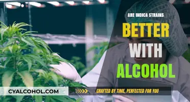 Indica and Alcohol: A Match or Mismatch for Relaxation?