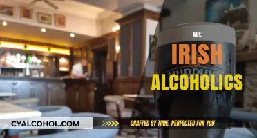 Irish Drinking Culture: Stereotypes vs. Reality – Are Irish Alcoholics?