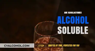 Are Kavalactones Alcohol Soluble? Exploring Kava's Key Compounds and Solubility