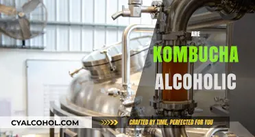 Is Kombucha Alcoholic? Unraveling the Fermented Tea Mystery