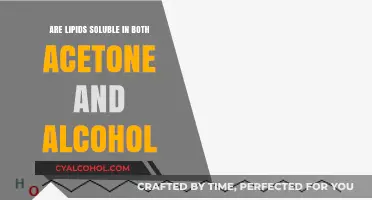Lipid Solubility: Exploring Acetone and Alcohol Compatibility