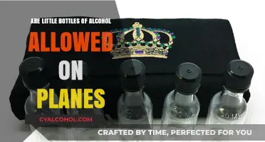 Can You Bring Mini Alcohol Bottles on Flights? TSA Rules Explained