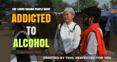 Alcohol Addiction and Socioeconomic Status: Exploring the Link to Lower Incomes