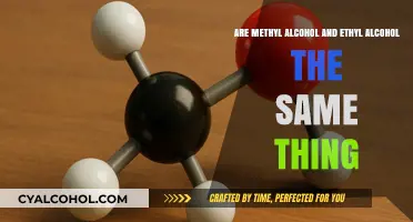 Methyl vs Ethyl Alcohol: What's the Difference?