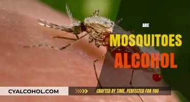 Mosquitoes and Alcohol: Unraveling the Myth of Tipsy Biters
