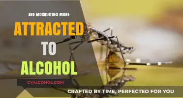 Does Alcohol Make You a Mosquito Magnet? Surprising Science Revealed