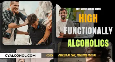 High-Functioning Alcoholics: Unmasking the Prevalence in Modern Society