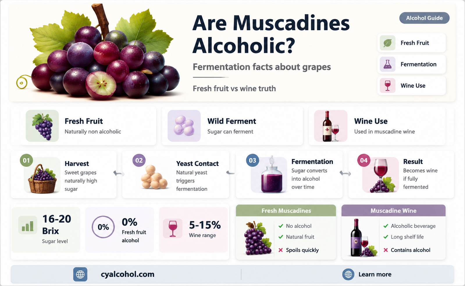 are muscadines alcoholic