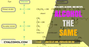 Methyl vs. N-Amyl Alcohol: What's the Difference?