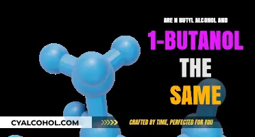 Butyl Alcohol and 1-Butanol: Are They Identical Liquids?