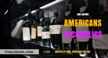 Debunking Stereotypes: The Truth About Native Americans and Alcohol