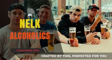 Are Nelk Boys Alcoholics? Examining Their Controversial Party Lifestyle