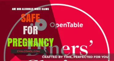 Non-Alcoholic White Claws and Pregnancy: Safe or Risky Choice?