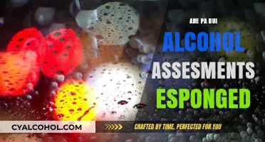 Are PA DUI Alcohol Assessments Expunged? Understanding the Legal Process