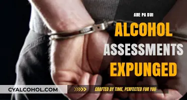 Can PA DUI Alcohol Assessments Be Expunged? Legal Insights
