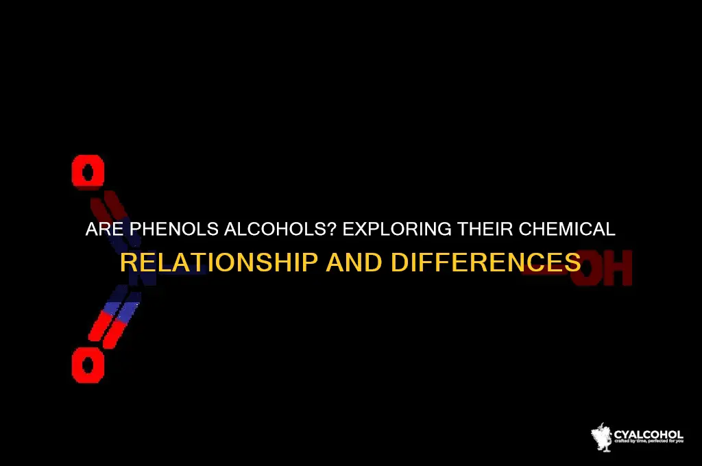 are phenols considered alcohols