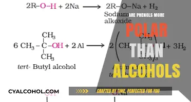 Phenols vs. Alcohols: Unraveling the Polar Nature Debate