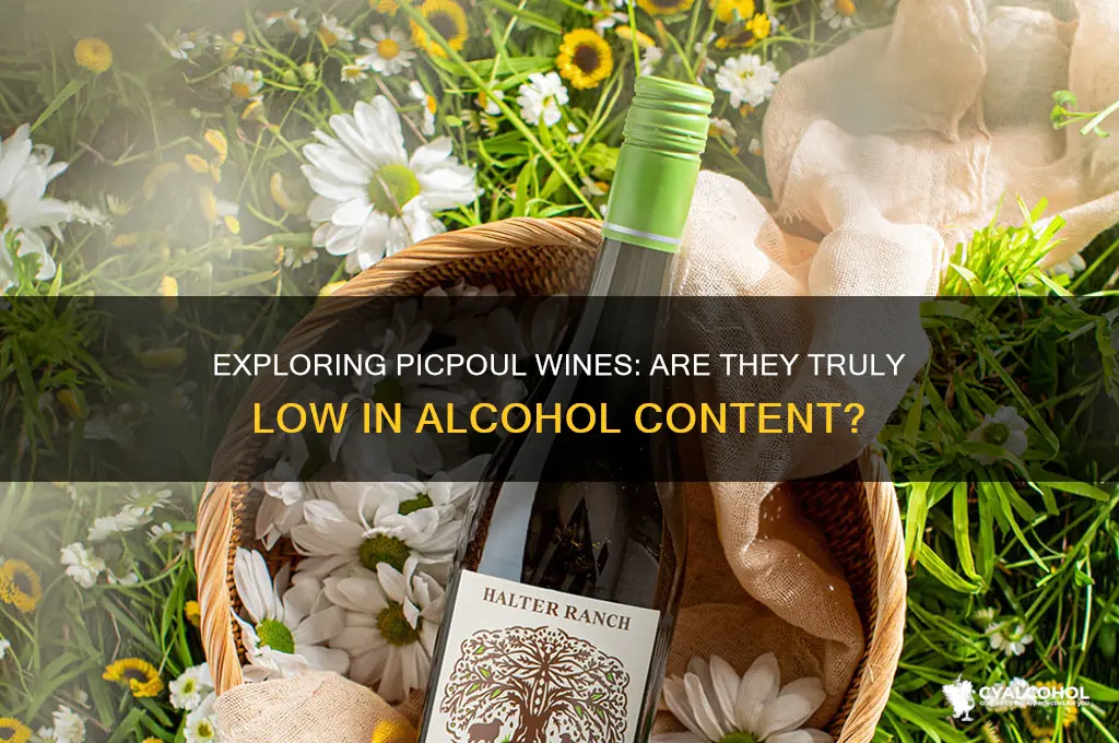 are picpouls low alcohol