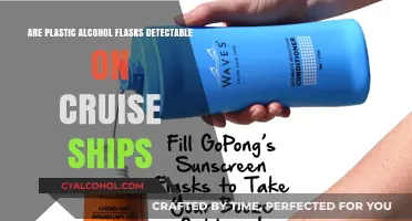 Can Plastic Alcohol Flasks Sneak Past Cruise Ship Security Checks?