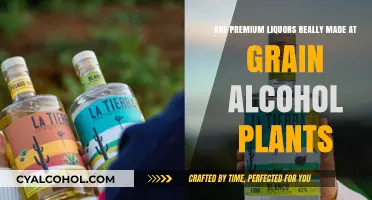 Premium Liquors: Crafted in Grain Alcohol Plants?