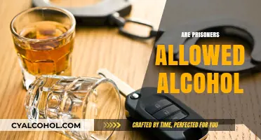 Prisoner Alcohol Policies: Understanding Rules and Restrictions Behind Bars