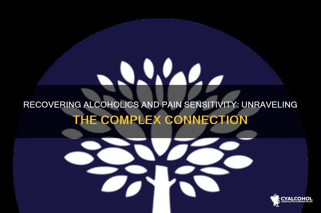 are recovering alcoholics mire pain sensitive