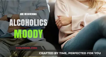 Understanding Mood Swings in Recovering Alcoholics: Causes and Coping Strategies