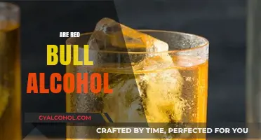 Red Bull and Alcohol: Debunking the Myth of a Mix