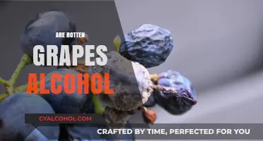 Rotten Grapes and Alcohol: Unraveling the Fermentation Connection