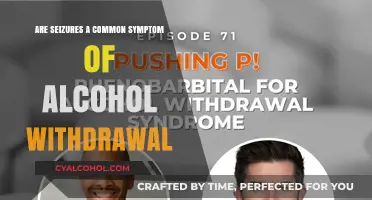 Alcohol Withdrawal and Seizures: Understanding the Common Connection