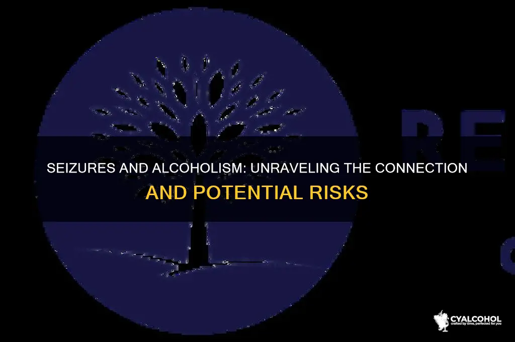 are seizures a sign of alcoholism