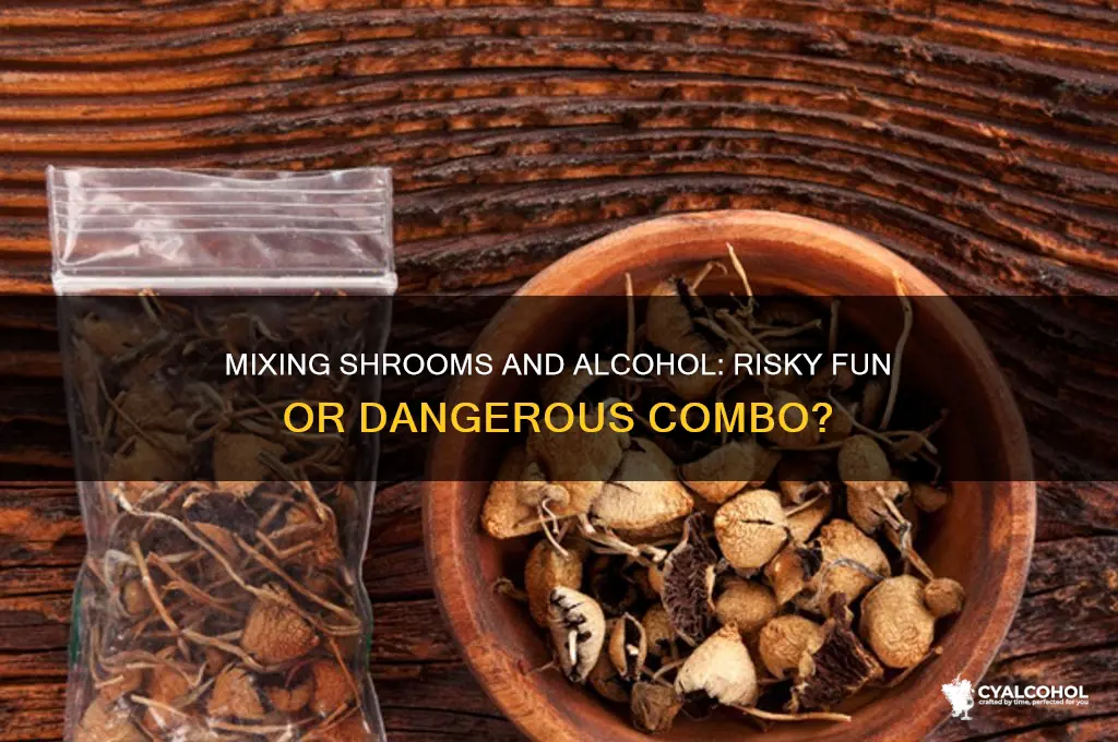 are shrooms and alcohol fun together