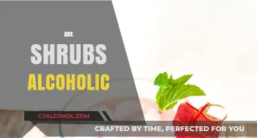 Are Shrubs Alcoholic? Unraveling the Myth of Vinegar-Based Cocktails