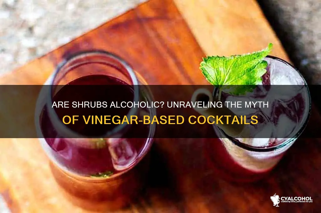 are shrubs alcoholic