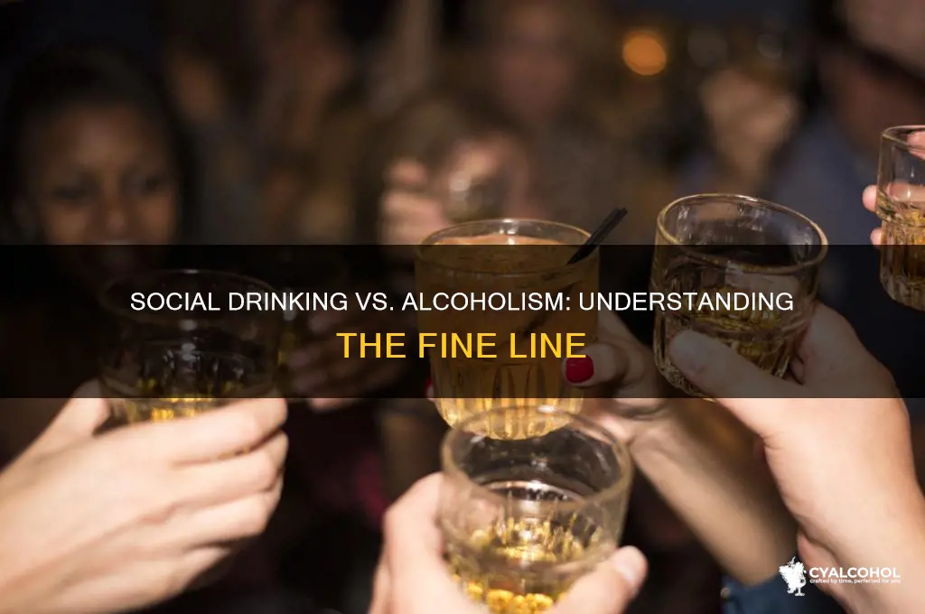 are social drinkers alcoholics