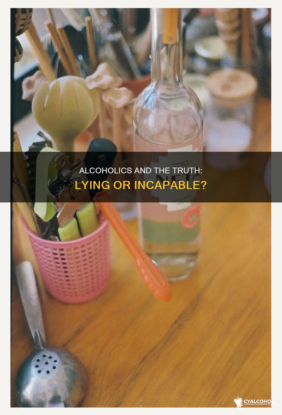 are some alcoholics truly incapable of telling the truth