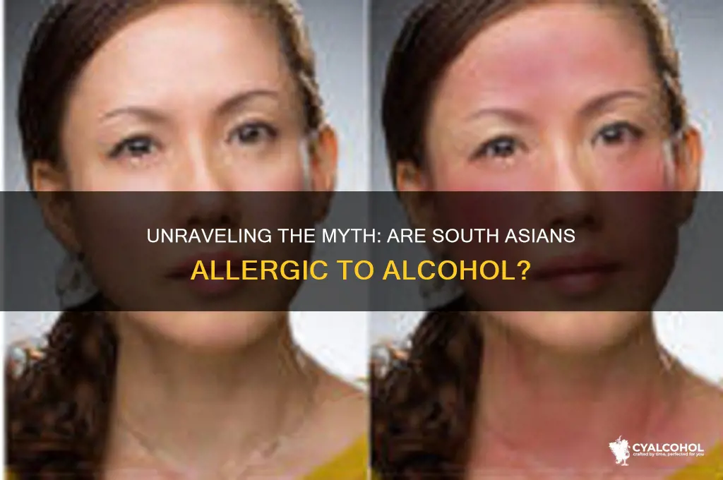 are south aisans allergic to alcohol