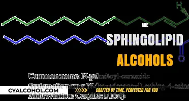 Are Sphingolipids Alcohols? Unraveling Their Chemical Nature and Role