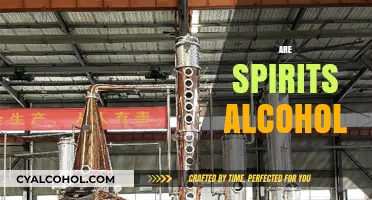 Are Spirits Alcohol? Unraveling the Distilled Truth Behind the Name