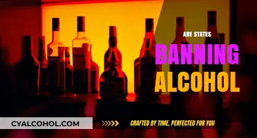 Are States Banning Alcohol? Exploring the Growing Prohibition Trend