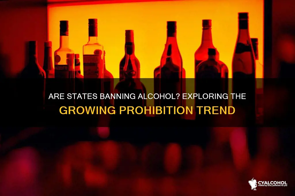 are states banning alcohol