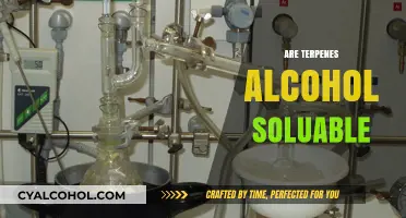 Are Terpenes Alcohol Soluble? Exploring Solubility and Extraction Methods