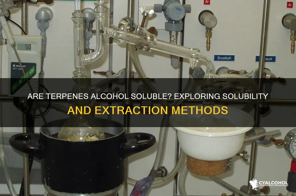 are terpenes alcohol soluable