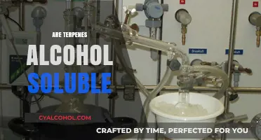 Are Terpenes Alcohol Soluble? Exploring Solubility and Extraction Methods