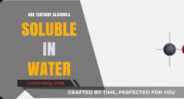 Tertiary Alcohols and Water Solubility: Understanding the Chemistry