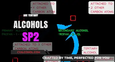 Are Tertiary Alcohols sp2 Hybridized? Unraveling the Chemical Structure