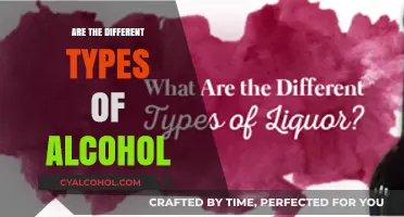 Exploring the Diverse World of Alcohol Types and Varieties