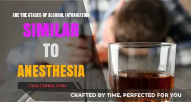 Alcohol Intoxication: Anesthesia's Stages Explored