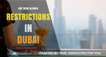 Dubai's Alcohol Laws: What Tourists and Residents Need to Know